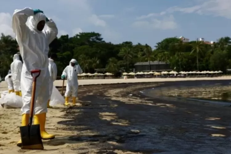 Sejumlah warga Singapura membersihkan tumpahan minyak yang mencemari pantai karena adanya ada kapal tabrakan