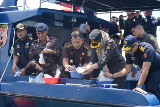 Operasi Bea Cukai Kepri Berhasil Tangkap Penyelundup Benih Lobster di Perairan Selat Pengelap Operasi Bea Cukai Kepri Berhasil Tangkap Penyelundup Benih Lobster di Perairan Selat Pengelap