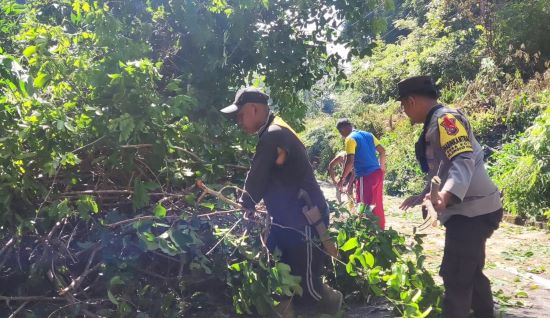 Antisipasi Cuaca Ekstrem, Brigadir Hendri Eko Susanto Pimpin Penebangan Pohon Tua di Desa Kote Antisipasi Cuaca Ekstrem, Brigadir Hendri Eko Susanto Pimpin Penebangan Pohon Tua di Desa Kote