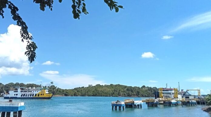 Jadwal Terbatas Kapal Roro Telaga Punggur Hari Ini, Cek Info Lengkapnya