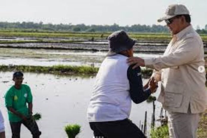 Pemerintah Hapus Utang UMKM di Sektor Pertanian dan Perikanan, Ini Kriterianya