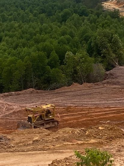 Hutan Bakau Piayu Laut Dirambah Pengembang, Akar Bhumi Indonesia Meradang
