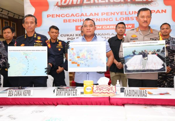 tim gabungan gagalkan penyelundupan lobster di batam Sinergi Lintas Instansi Gagalkan Penyelundupan 189.000 Benih Lobster di Perairan Pulau Tandur