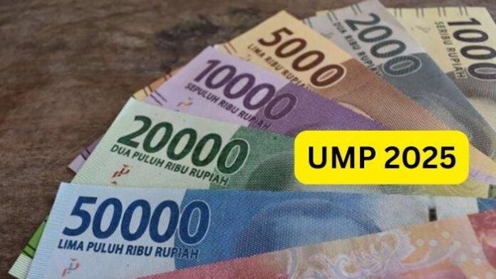 UMP Kepri 2025 Naik 6,5 Persen, Kini Jadi Rp 3,6 Juta