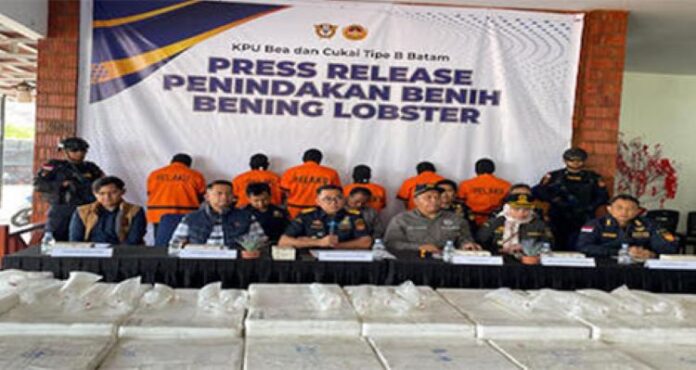 Lima Terdakwa Penyelundupan Benih Lobster Senilai Rp8,1 Miliar Jalani Sidang Perdana di Batam