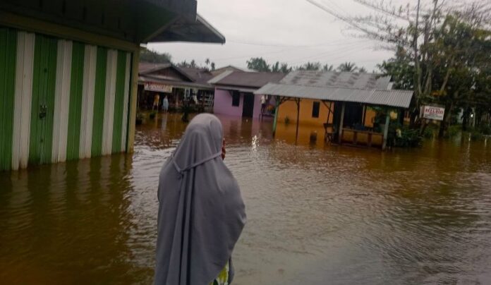 Banjir Rendam 1.200 Rumah di Kecamatan Rambah, Rohul, Riau, Akses Transportasi Terputus