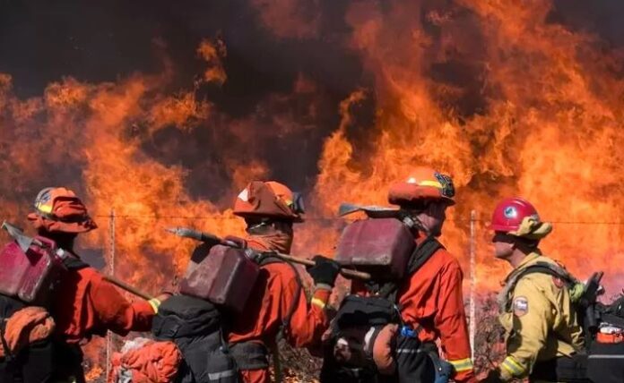 Kompensasi Rendah, Risiko Tinggi: Program Pemadam Kebakaran Tahanan California Dikritik