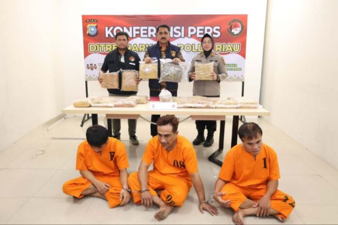 Polda Riau Gagalkan Peredaran 16,5 Kg Ganja, Tiga Kurir Antarprovinsi Ditangkap