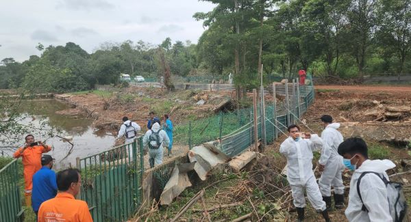 Ternyata 66 Buaya Lepas dari Penangkaran di Pulau Bulan Batam, Pencarian Masih Berlanjut (2) Ternyata 66 Buaya Lepas dari Penangkaran di Pulau Bulan Batam, Pencarian Masih Berlanjut