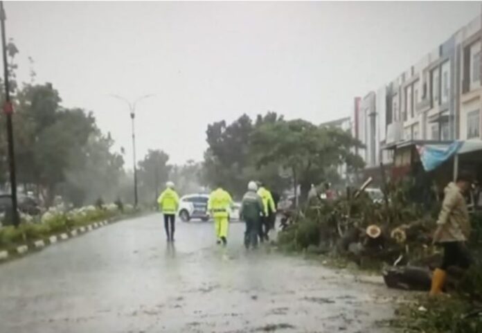 Cuaca Buruk di Tanjungpinang, Pohon Besar Tumbang Tutup Jalan DI Panjaitan