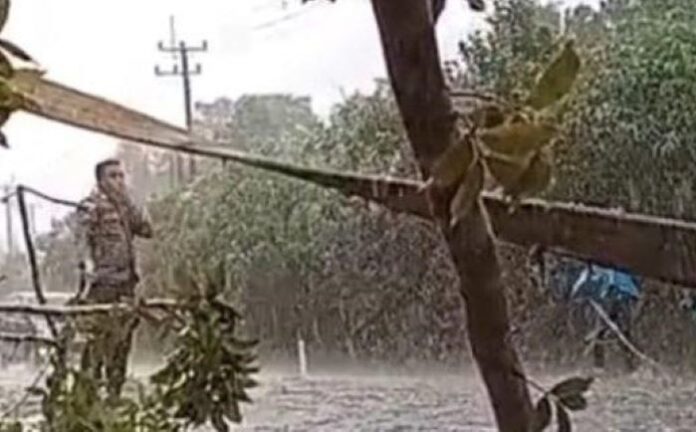 Hujan Deras, Angin Kencang, Pohon Tumbang di Bintan! Polisi Banjir Pujian Usai Evakuasi Tanpa Jas Hujan (3) Hujan Deras, Angin Kencang, Pohon Tumbang di Bintan! Polisi Banjir Pujian Usai Evakuasi Tanpa Jas Hujan