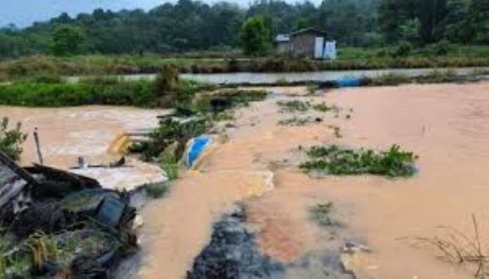 Kolam Ikan Warga Terkubur Lumpur! Proyek Misterius di Nongsa Rugikan Petani Hingga Rp500 Juta, Siapa yang Membekingi Kolam Ikan Warga Terkubur Lumpur! Proyek Misterius di Nongsa Rugikan Petani Hingga Rp500 Juta, Siapa yang Membekingi?