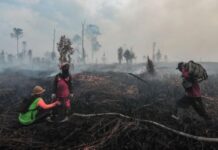 BMKG Peringatkan Ancaman Karhutla di Riau Akhir Agustus, Modifikasi Cuaca Jadi Senjata Utama! BMKG Peringatkan Ancaman Karhutla di Riau Akhir Agustus, Modifikasi Cuaca Jadi Senjata Utama!