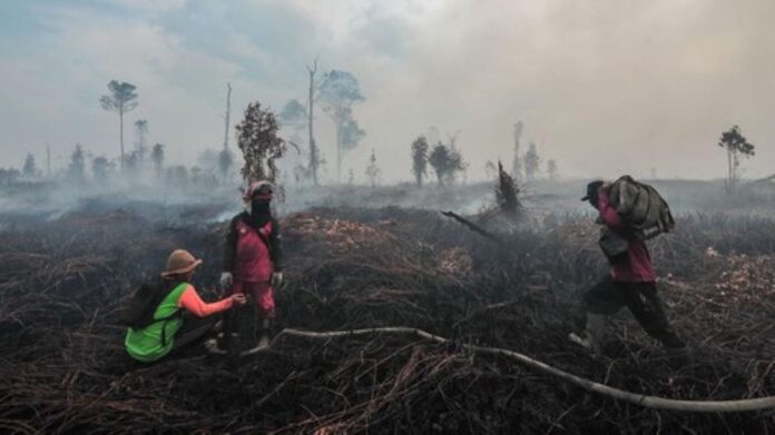 BMKG Peringatkan Ancaman Karhutla di Riau Akhir Agustus, Modifikasi Cuaca Jadi Senjata Utama!
