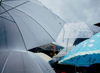 Batam Waspada! BMKG Prediksi Hujan Sepanjang Hari Rabu & Petir di 2 Kecamatan Cuaca Kepri Hari Ini: cuaca batam 13 agustus 2025, prakiraan cuaca batam, bmkg batam, hujan ringan batam, petir di batam, hujan di belakang padang, cuaca bulang batam,