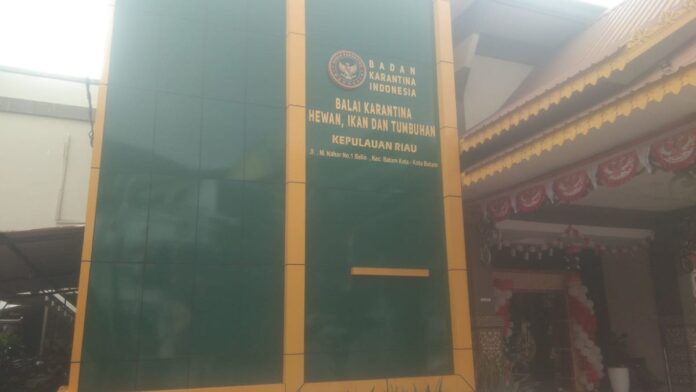 Misteri Impor Beras & Bawang di Batam! BP Batam Bungkam, Mafia Gunakan Kontainer untuk Selundupkan Pangan Misteri Impor Beras & Bawang di Batam! BP Batam Bungkam, Mafia Gunakan Kontainer untuk Selundupkan Pangan