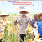 Panen Raya Jagung Pipil, Polda Kepri Perkuat Ketahanan Pangan Bersama Kelompok Tani